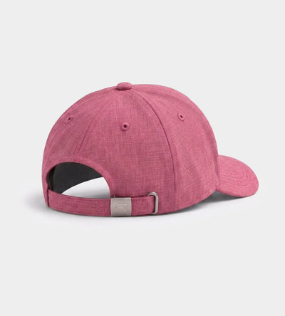 EVERYDAY DRUIDS CAP - ROT