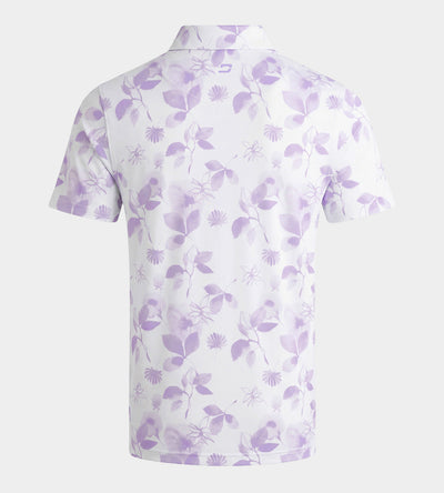 DINGLE POLO - LAVENDER