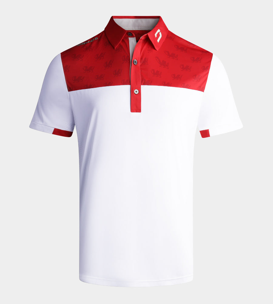 NATIONS POLO - WALES