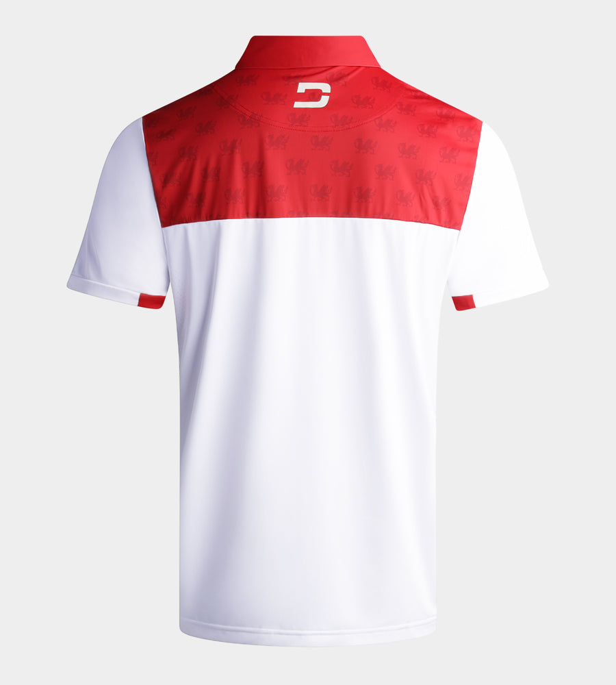 NATIONS POLO - WALES